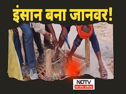 Animal Cruelty: अमानवीय! बंधक बनाया, मुंह में लाठी डालकर प्लास से निकाले दांत, स्ट्रीट डॉग को किया अधमरा Animal Cruelty: अमानवीय! बंधक बनाया, मुंह में लाठी डालकर प्लास से निकाले दांत, स्ट्रीट डॉग को किया अधमरा