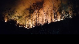 Forest Fire: सीधी रेंज में धधक रही वन संपदा, काबू पाना हुआ बस के बाहर