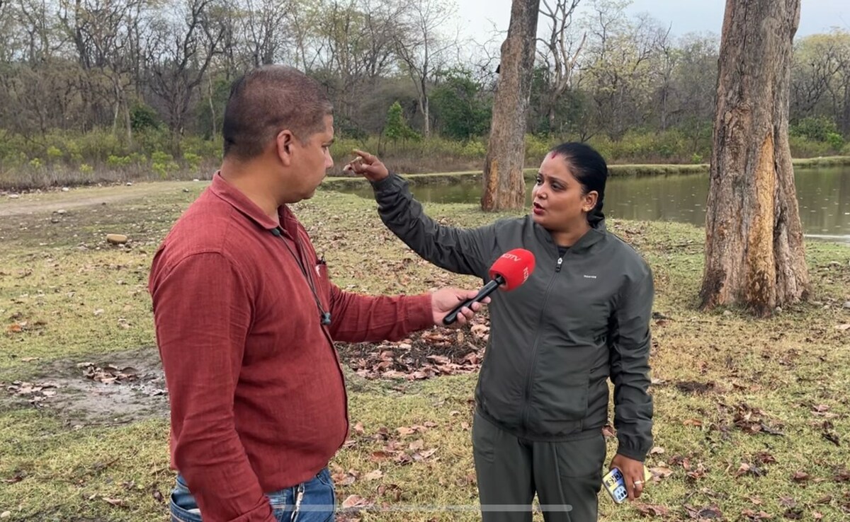 (उत्तराखंड का राजाजी नेशनल पार्क) (उत्तराखंड का राजाजी नेशनल पार्क)