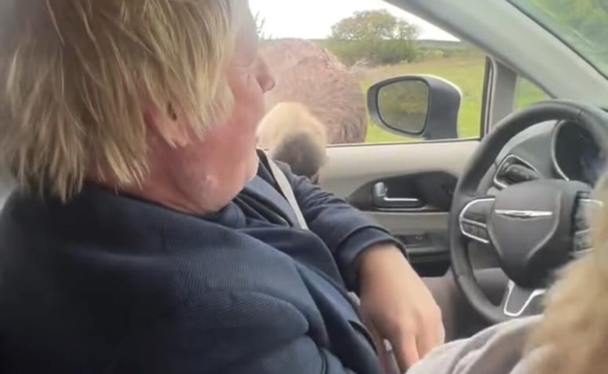 Видео показващо че Борис Джонсън който е кълнат от щраус