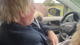 Watch: Ostrich Pecks Boris Johnson Through Window, Internet Can't Stop Laughing