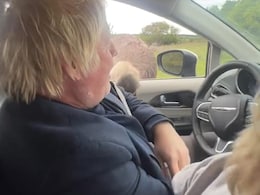 Watch: Ostrich Pecks Boris Johnson Through Window, Internet Can't Stop Laughing