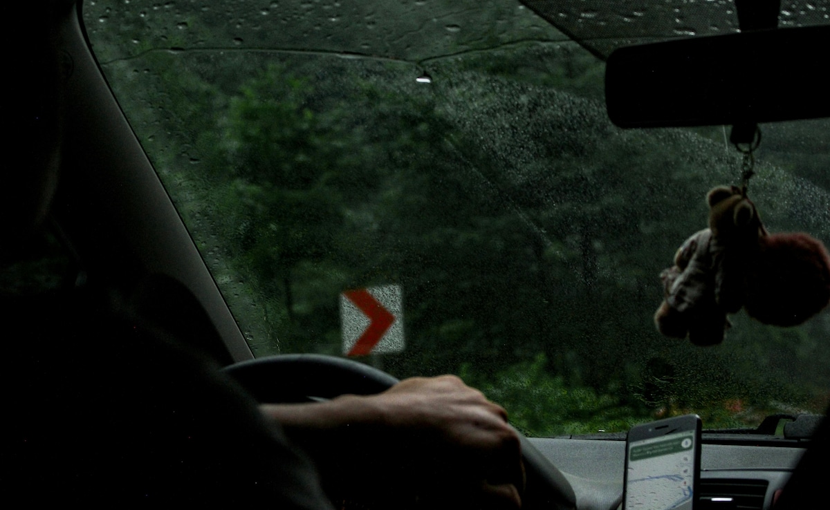 Group Following Navigation App Gets Stranded In Kerala Forest At Midnight, Rescued