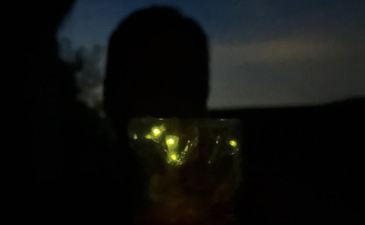 Когато масово затъмнение се прехвърли в части от Испания Португалия