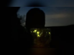 No Power, No Cooking: Indian Man In Portugal Shares 12-Hour Blackout Ordeal No Power, No Cooking: Indian Man In Portugal Shares 12-Hour Blackout Ordeal