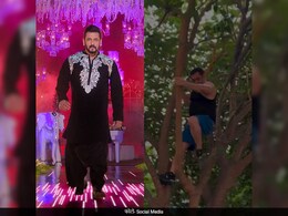 59 की उम्र में सरपट पेड़ पर चढ़े सलमान खान, चुटकियों में तोड़े फल, वीडियो देख फैंस बोले- फिटनेस हो तो ऐसी