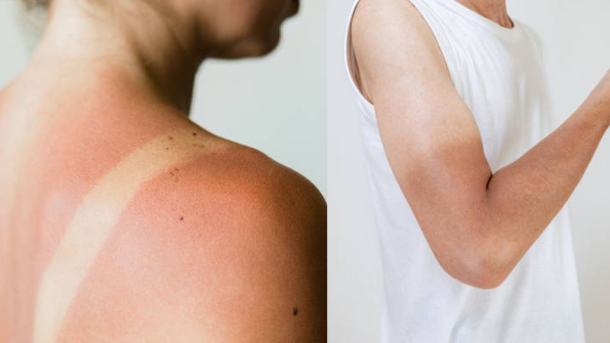 Latest and Breaking News on NDTV Latest and Breaking News on NDTV