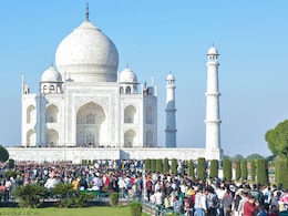 No Tree Felling Within 5 Km Of Taj Mahal Without Our Nod: Supreme Court No Tree Felling Within 5 Km Of Taj Mahal Without Our Nod: Supreme Court