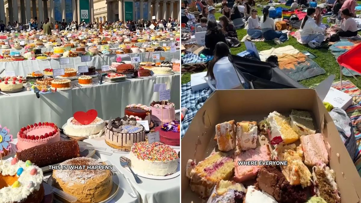 Watch: Largest Cake Picnic In San Francisco Saw A Buffet Of 1,387 Different Cakes
