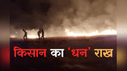 Farm Fire: देर रात खेत में लगी भीषण आग, देखते-देखते राख हुई 100 बीघा गेहूं की फसल