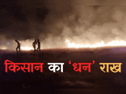 Farm Fire: देर रात खेत में लगी भीषण आग, देखते-देखते राख हुई 100 बीघा गेहूं की फसल Farm Fire: देर रात खेत में लगी भीषण आग, देखते-देखते राख हुई 100 बीघा गेहूं की फसल