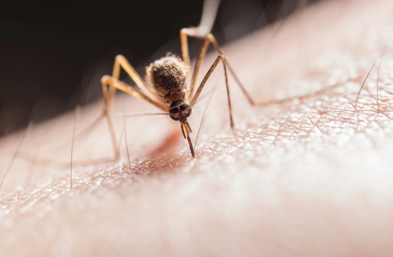 WHO has identified biological factors that challenge malaria control efforts