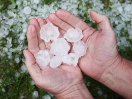 Weather Update: Chhattisgarh में गिरे ओले, आज गरज-चमक और बारिश का अलर्ट, 20 जिलों में गिरेगा पानी, पारा भी लुढ़का Weather Update: Chhattisgarh में गिरे ओले, आज गरज-चमक और बारिश का अलर्ट, 20 जिलों में गिरेगा पानी, पारा भी लुढ़का