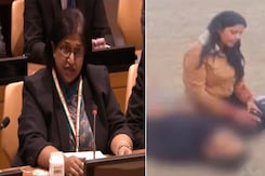 "Acts Of Terror Criminal, Unjustifiable": India Shreds Pakistan At UN "Acts Of Terror Criminal, Unjustifiable": India Shreds Pakistan At UN