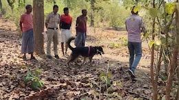 नाबालिग छात्रा हत्याकांड में पुलिस के हाथ 48 घंटे बाद भी खाली, अल्टीमेटम के साथ इनाम की घोषणा