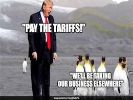 Penguin Memes Fill Internet After Trump Tariffs An Uninhabited Island Penguin Memes Fill Internet After Trump Tariffs An Uninhabited Island