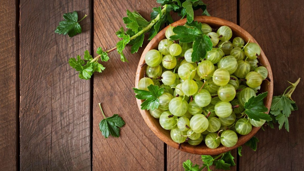 Which City Is Known As The Amla Capital Of India?