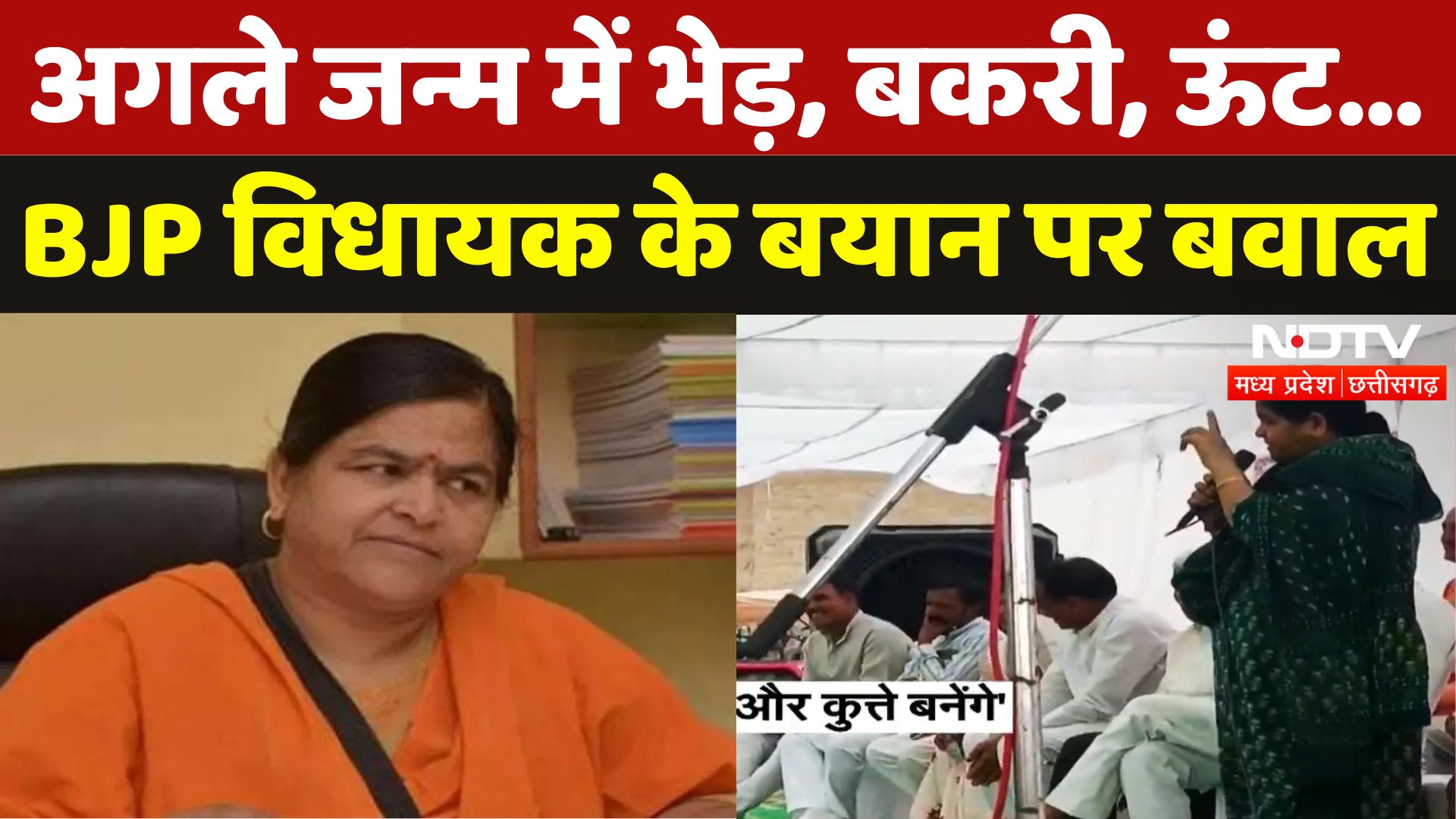 BJP MLA Usha Thakur के बयान पर बवाल, बोलीं- वोट बेचने वाले अगले जन्म मे भेड़, बकरी, ऊंट और कुत्ते...