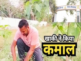 Wastage Water: ट्रैफिक टीआई की अनूठी पहल, वेस्टेज पानी से पुलिस लाइन ग्राउंड में प्लांट कर दिए 8000 पौधे Wastage Water: ट्रैफिक टीआई की अनूठी पहल, वेस्टेज पानी से पुलिस लाइन ग्राउंड में प्लांट कर दिए 8000 पौधे