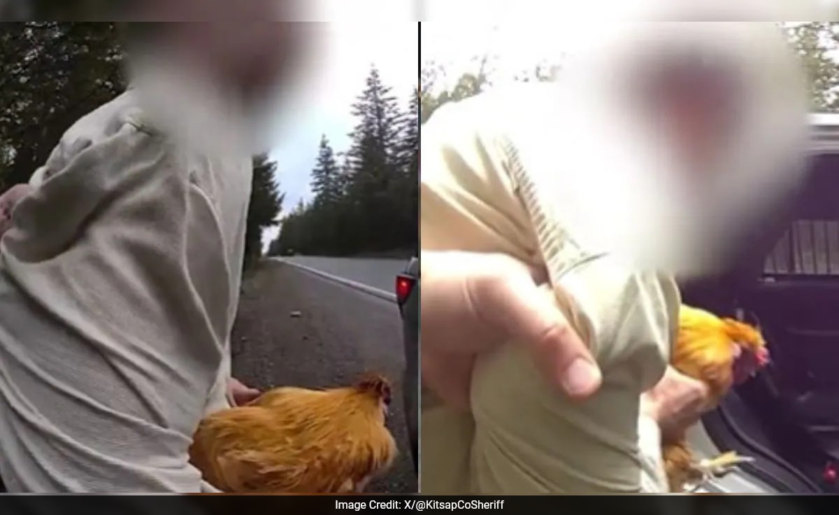 Видео от американската държава Вашингтон е станало вирусно в социалните