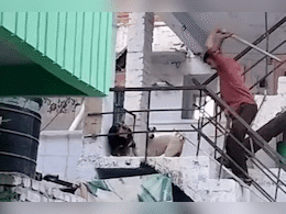 Viral Video: आवेश में आया युवक और कुत्ते पर लोहे की रॉड से कर दिए कई वार... वीडियो हुआ वायरल तो सामने आई वजह