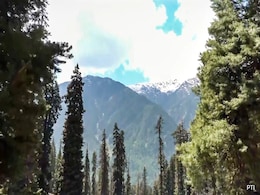"Angels Sent By God": Tourists Saved By Ponywallah, Locals During J&K Terror Attack "Angels Sent By God": Tourists Saved By Ponywallah, Locals During J&K Terror Attack