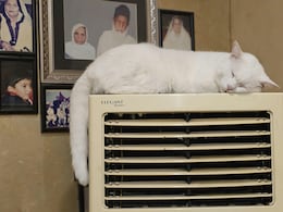 जानें क्यों Air Cooler, AC से बेहतर ऑप्शन है? साथ ही पाएं Air Cooler पर Budget-Friendly डील्स जानें क्यों Air Cooler, AC से बेहतर ऑप्शन है? साथ ही पाएं Air Cooler पर Budget-Friendly डील्स