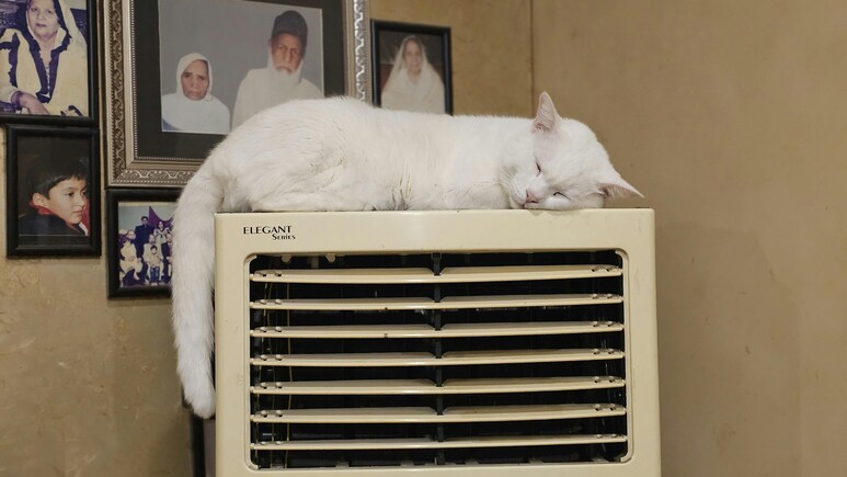जानें क्यों Air Cooler, AC से बेहतर ऑप्शन है? साथ ही पाएं Air Cooler पर Budget-Friendly डील्स जानें क्यों Air Cooler, AC से बेहतर ऑप्शन है? साथ ही पाएं Air Cooler पर Budget-Friendly डील्स
