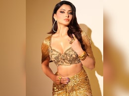Urvashi Rautela Wants A Temple In Her Honour, But What She Needs Is A Reality Check Urvashi Rautela Wants A Temple In Her Honour, But What She Needs Is A Reality Check