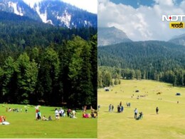 Sindhudurg News: 'तुम्हाला गोळ्या घातल्या तरी फरक पडत नाही', कुडाळच्या पर्यटकांसोबत पहलगाममध्ये उद्धट वर्तन! Sindhudurg News: 'तुम्हाला गोळ्या घातल्या तरी फरक पडत नाही', कुडाळच्या पर्यटकांसोबत पहलगाममध्ये उद्धट वर्तन!