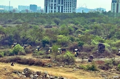 'Stop All Activity': Supreme Court To Telangana On Tree-Felling Row Near Hyderabad University Campus 'Stop All Activity': Supreme Court To Telangana On Tree-Felling Row Near Hyderabad University Campus