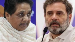 "Decided Not To Speak On Waqf Bill?" Mayawati Questions Rahul Gandhi