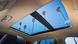 Cool Rides: Features That Outshine the Sunroof in Summer Comfort
