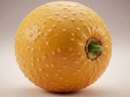 What Is Monk Fruit Sweetener? Is It A Better Sugar Alternative For Weight Loss And Diabetes What Is Monk Fruit Sweetener? Is It A Better Sugar Alternative For Weight Loss And Diabetes