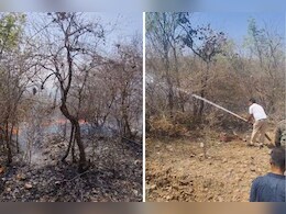 आग की चपेट में राजस्थान के जंगल, माउंट आबू के बाद रणथंभौर टाइगर रिजर्व में लगी भीषण आग