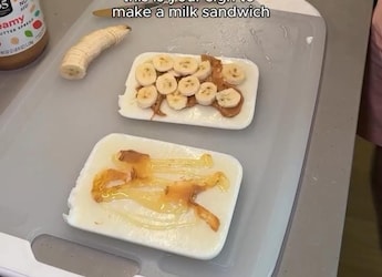 Watch: Vlogger Makes No-Bread Sandwich Out Of Frozen Milk 'Slices', Internet Is Intrigued Watch: Vlogger Makes No-Bread Sandwich Out Of Frozen Milk 'Slices', Internet Is Intrigued