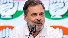 "Posterboy Of Pakistan": BJP Takes Jibe At Rahul Gandhi For PM Modi Remarks