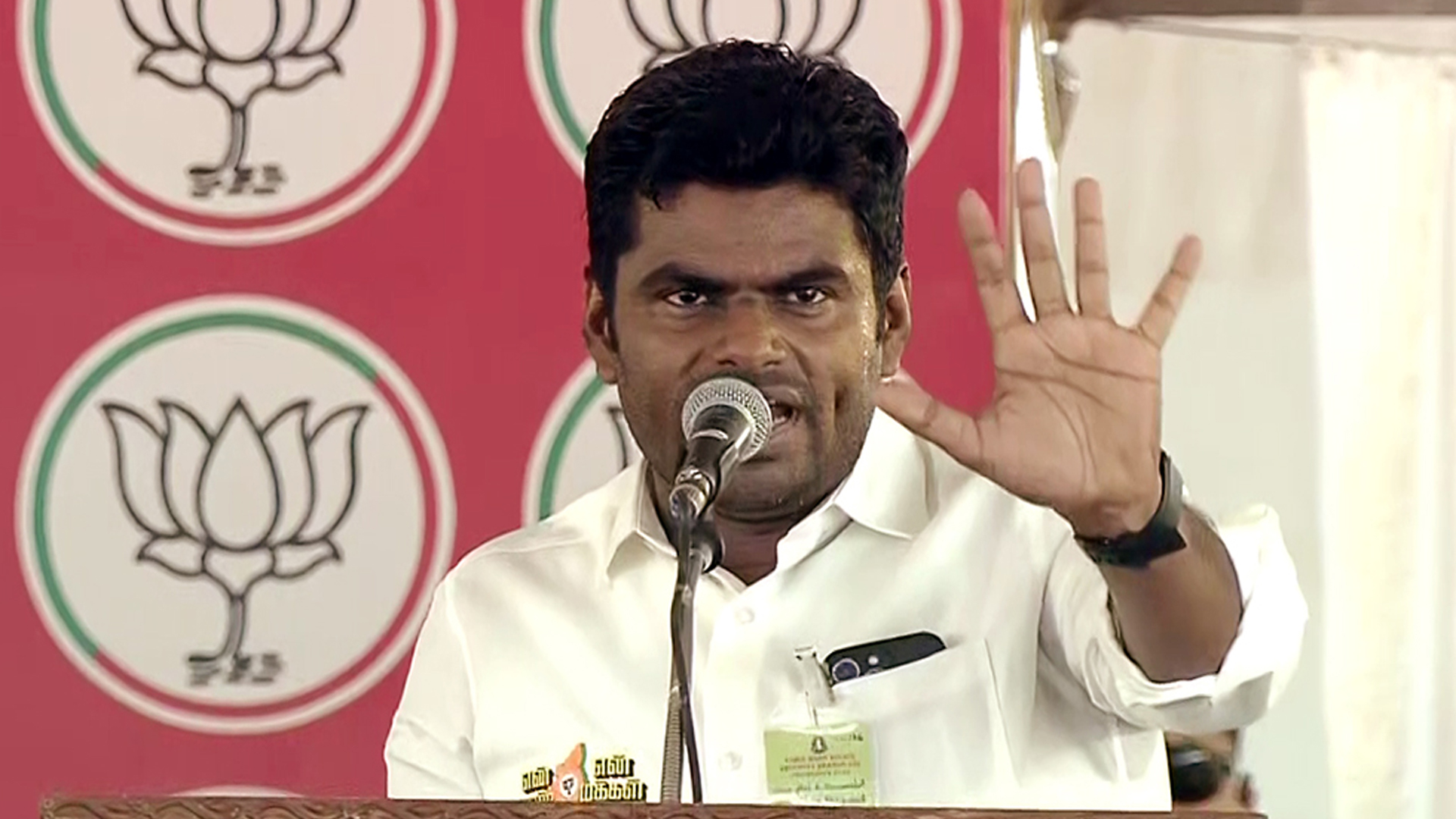 K Annamalai To Step Down As Tamil Nadu BJP Chief? He Says...