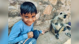 Ranthambore Tiger Attack: रणथंभौर के त्रिनेत्र गणेश मंदिर में बच्चे को उठा ले गया बाघ, परिजन से मिलने पहुंचे किरोड़ी लाल मीणा