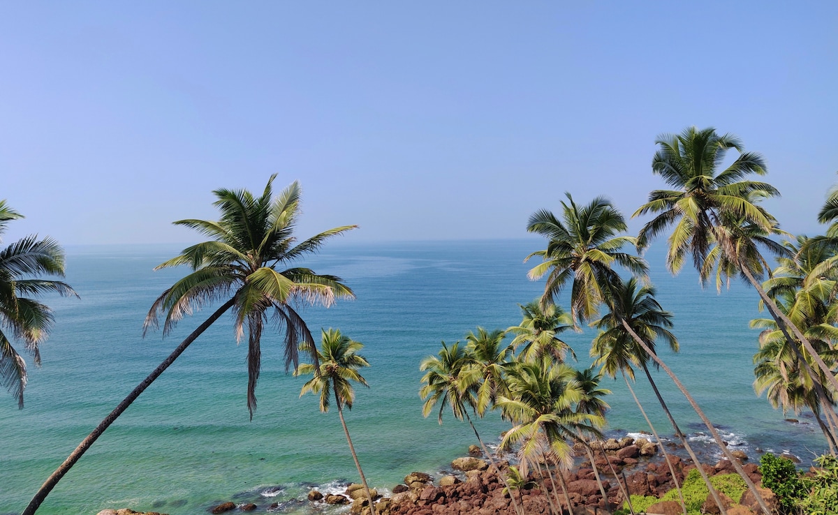 Parra. Photo: iStock Parra. Photo: iStock