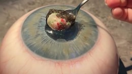 Butterflies, Bugs, Blood And More... Michelin Star Restaurant's Unusual Menu Goes Viral