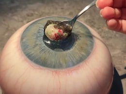 Butterflies, Bugs, Blood And More... Michelin Star Restaurant's Unusual Menu Goes Viral