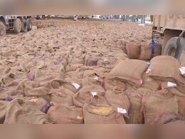 रीवा में अचानक आई बारिश से मंडी में रखे गेहूं भीगे, किसानों को हुआ नुकसान