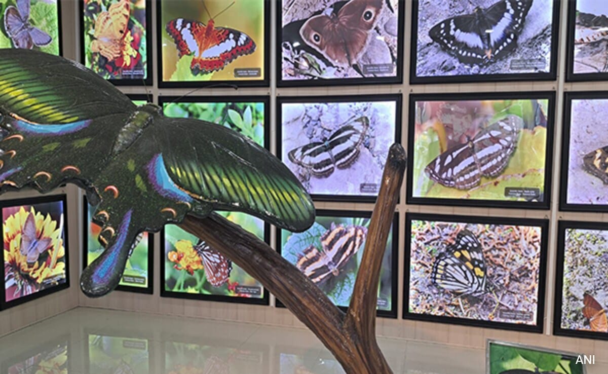 Dehradun Изследователското крило на горския отдел Uttarakhand създаде първата по