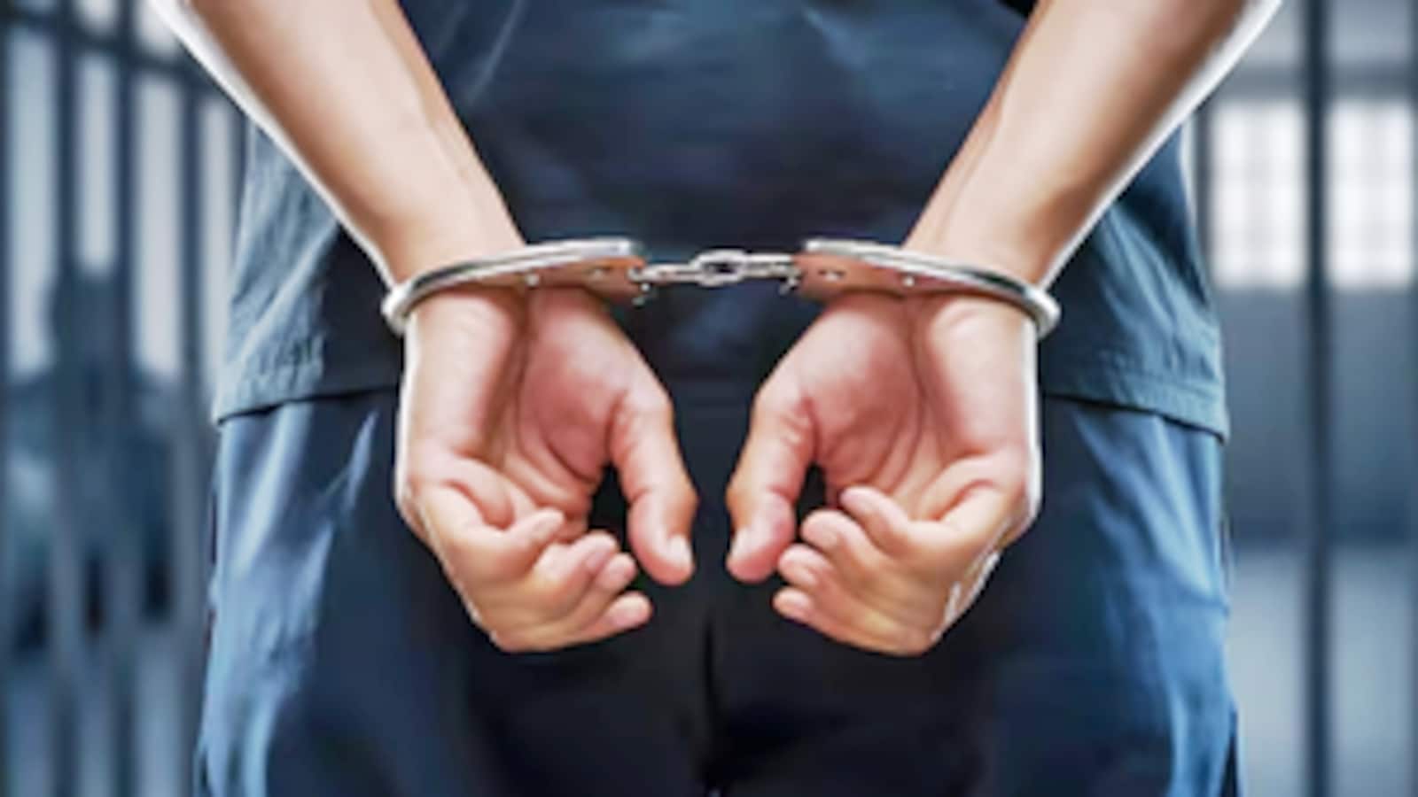 Indian National Arrested in Massachusetts for Alleged Assault with Baseball Bat