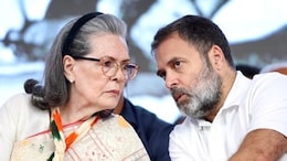 Congress' 'Nobel Prize' Jab Over National Herald, BJP's 'In Panic' Reply