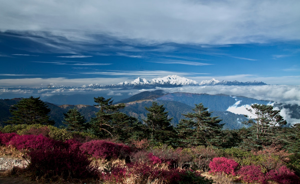 Sandakphu. Photo: iStock Sandakphu. Photo: iStock