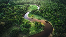 Brazil's 'Bill Of Devastation' Pushes Amazon Forest Towards Tipping Point