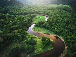 Brazil's 'Bill Of Devastation' Pushes Amazon Forest Towards Tipping Point Brazil's 'Bill Of Devastation' Pushes Amazon Forest Towards Tipping Point