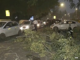 15 Flights Diverted, Several Delayed As Dust Storm Hits Delhi, Nearby Areas